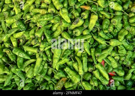 Le piment de Nahuatl chīlli est le fruit des baies de plantes du genre Capsicum Banque D'Images