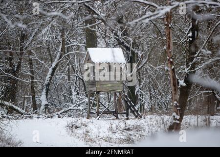 Tour de guet en bois pour la chasse et l'observation de la faune dans la forêt sur hiver froid avec neige Banque D'Images