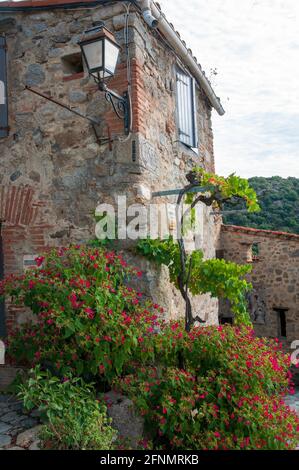 Maison en pierre dans le village pittoresque d'EUS, classé comme l'un des plus beaux villages de France, Pyrénées-Orientales (66), région occitanie, FRA Banque D'Images