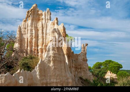 «les organes», formations géologiques ressemblant à des formes de tuyaux d'organes, Ille-sur-Tet, Pyrénées-Orientales (66), région occitanie, France Banque D'Images