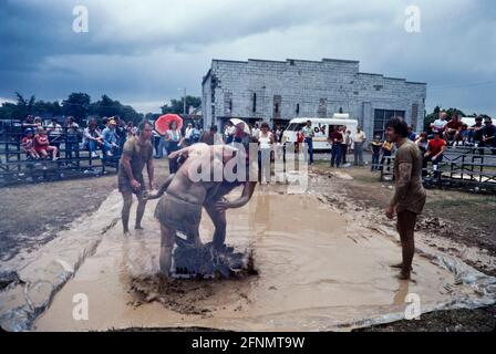 Lutte à la boue, amusement dans la boue, boueux Fair Day Goers, Simcoe Ontario Canada 1982. Banque D'Images