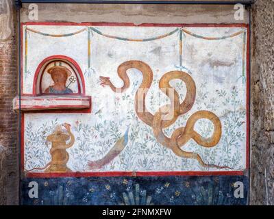 La décoration du larium (sanctuaire) montre un grand serpent levant la tête vers un buste de Mercure placé dans une niche voûtée au-dessus d'une saillie sous la niche est un second serpent enroulé autour d'un petit autel. En arrière-plan sont une variété de plantes et la vie d'oiseaux y compris un paon assez splendide - Maison de la Cryptoporticus (Casa del Criptoportico) - site archéologique de Pompéi, Italie Banque D'Images