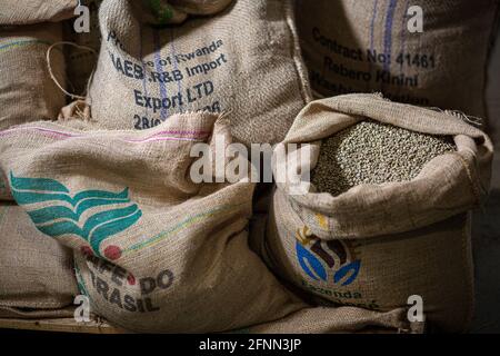 Grains de café verts dans le sac en toile Banque D'Images