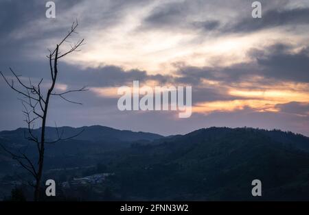 vue sur la montagne à l'aube avec ciel orange et jardin de thé est prise à l'ooty tamilnadu inde le matin montrant la belle nature. Banque D'Images