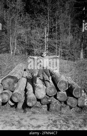 Garçon de quatre ans à Chawton Park Woods, Medstead, Hampshire, Angleterre, Royaume-Uni. Banque D'Images