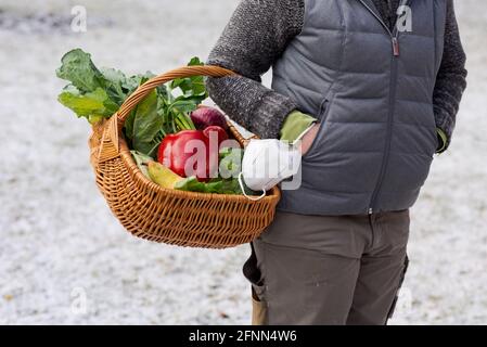 Panier en osier rempli de fruits et légumes frais biologiques accroché au bras de la femme debout sur un pré couvert de neige de retour de l'épicier Banque D'Images