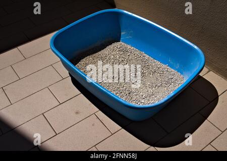 Une boîte à litière bleue pour chats avec du sable (Pesaro, Italie, Europe) Banque D'Images