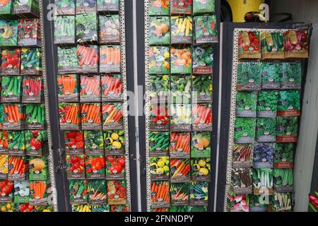 AMSTERDAM, PAYS-BAS - 8 JUILLET 2017 : semences au marché aux fleurs (Bloemenmarkt) à Amsterdam, pays-Bas. Bloemenmarkt est le célèbre marché aux fleurs f Banque D'Images