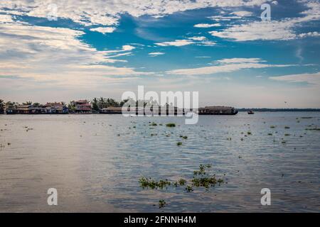 Vue sur l'arrière-plan à alleppey kerala inde avec ciel bleu et palmier Banque D'Images