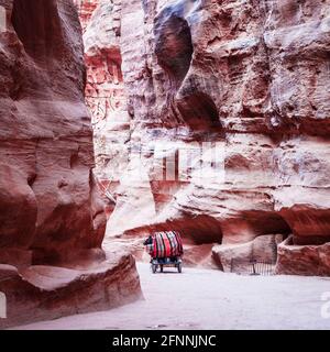 Un cheval touristique et une voiturette traversant le canyon connu sous le nom d'Al Siq à l'entrée de la ville rose de Petra en Jordanie. Banque D'Images