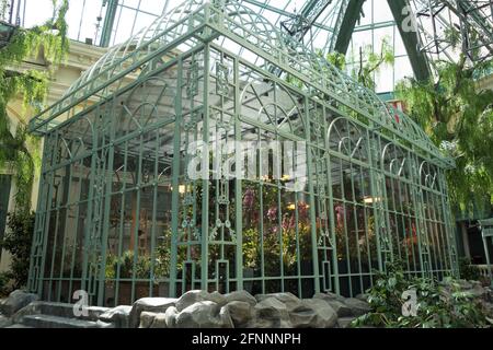 L'habitat des papillons au conservatoire du Bellagio et aux jardins botaniques de Las Vegas, Nevada. Banque D'Images