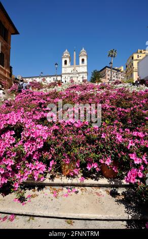Italie, Rome, les marches espagnoles avec des fleurs au printemps Banque D'Images