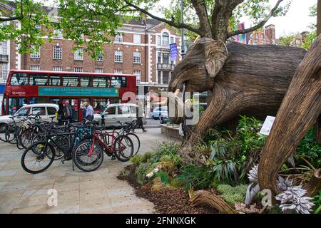 Londres, Royaume-Uni. 18 mai 2021. Les éléphants de coexistence visitent Duke of York Square, Chelsea. Un troupeau d'éléphants artisanaux de Lantana camara fait partie de la campagne de coexistence pour montrer l'effet de l'empiètement humain sur les espaces sauvages. Les éléphants migrent à travers Chelsea entre le 17 mai et le 6 juin 2021. Crédit : Peter Hogan/Alay Live News Banque D'Images