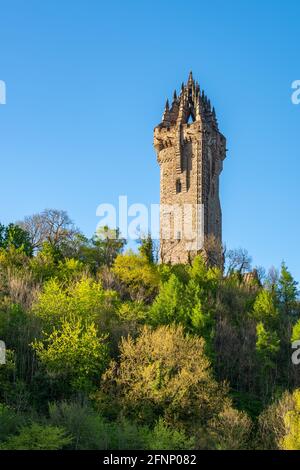 The National Wallace Monument, Stirling, Écosse, Royaume-Uni Banque D'Images