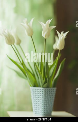 Still Life with white tulips Banque D'Images