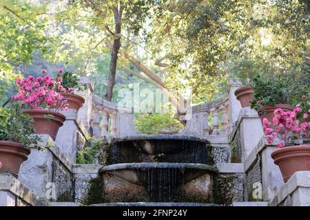 fontaine décorée de fleurs dans un jardin botanique de Rome Banque D'Images