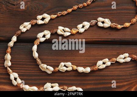 Collier Seashell sur fond de bois Banque D'Images