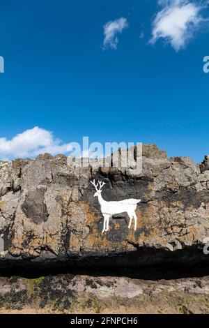 Le cerf blanc peint à Stag Rocks, plage de Bamburgh, Northumberland, Royaume-Uni. Banque D'Images