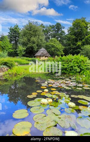 Le toit de chaume Dell Summer House et un étang, Bressingham Gardens, un musée de vapeur et des jardins situés à Bressingham, DISS, Norfolk, Angleterre, Royaume-Uni Banque D'Images