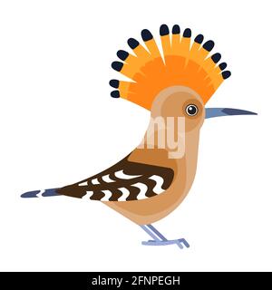 Hoopoe eurasien ou Hoopoe commun, Upupa epops . Dessin animé d'oiseau style plat beau caractère d'ornithologie, illustration vectorielle isolée sur blanc Illustration de Vecteur