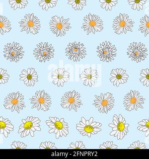 Fond vectoriel bleu pastel fleurs de Marguerite et fleurs sauvages. Arrière-plan sans couture Illustration de Vecteur