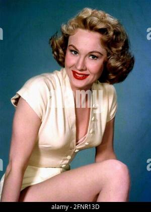 VIRGINIA MAYO (1920-2005) actrice américaine de film vers 1955 Banque D'Images
