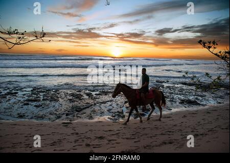 Équitation sur la plage au Costa Rica Banque D'Images