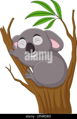 Dessin animé koala dormir sur une branche d'arbre Illustration de Vecteur