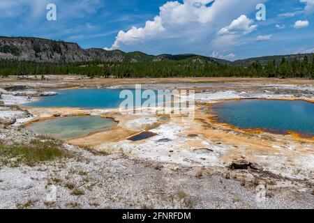 Black Opal Springs dans le parc national de Yellowstone, Wyoming Banque D'Images