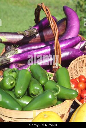 Récolte de légumes d'été - aubergines de tomates fraîches et de courgettes Banque D'Images