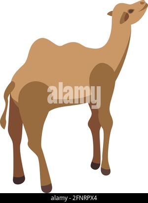 Icône Safari Camel. Isométrique de Safari Camel vector icône pour la conception de sites Web isolée sur fond blanc Illustration de Vecteur