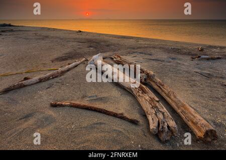 Lever du soleil et lumière dorée sur la plage de Punta Chame, côte du Pacifique, province de Panama, République de Panama, Amérique centrale. Banque D'Images