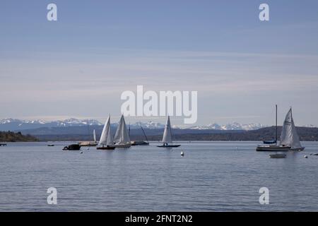 Voiliers sur le lac Ammer,Ammersee,Herrsching, haute-Bavière, Allemagne,Europe. Banque D'Images