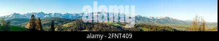 Panorama extra large des montagnes Tatra avec arbres, forêts et prairies dans la région de Podhale en Pologne. Tôt le matin au printemps, lever du soleil Banque D'Images