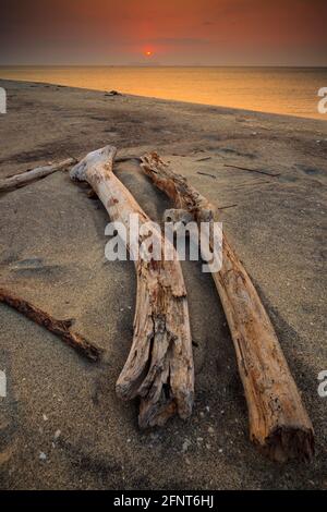 Lever du soleil et lumière dorée sur la plage de Punta Chame, côte du Pacifique, province de Panama, République de Panama, Amérique centrale. Banque D'Images