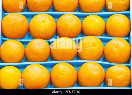 Des oranges fraîches et lumineuses dans une rangée une boîte sur le marché dans un comptoir de supermarché Banque D'Images