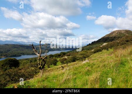 Gummer's How Above Lake Windermere à Cumbria, Angleterre. Le paysage fait partie du district de English Lake. Banque D'Images