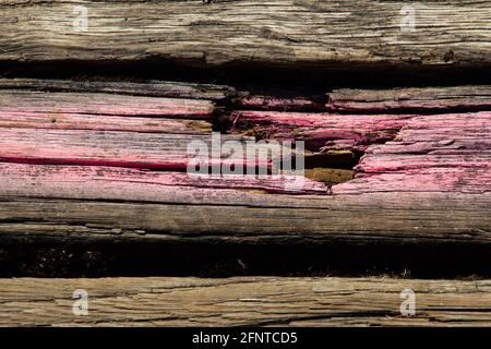 Planches en bois endommagées avec marques de peinture en aérosol rose à marquer en cas de renouvellement Banque D'Images