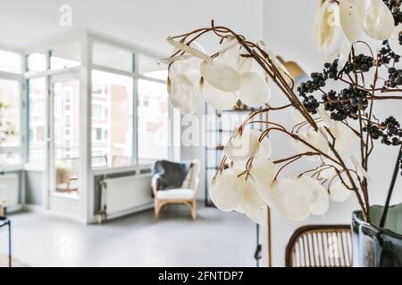 Bouquet de plantes blanches et noires séchées dans vase comme décoration élégante dans un appartement moderne et spacieux avec de grandes fenêtres et décoration intérieure minimaliste Banque D'Images