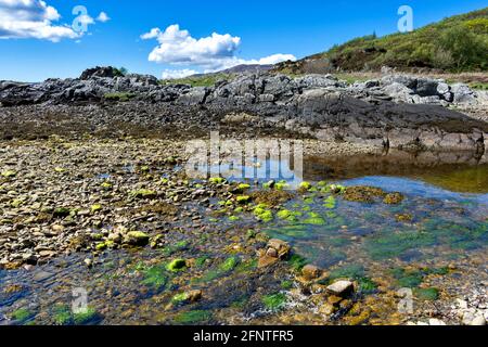 SANDAIG BAY ISLANDS AND BEACHES GLENELG SCOTLAND ALGUES COLORÉES LE LIT DE LA RIVIÈRE QUI TRAVERSE LA PLAGE Banque D'Images