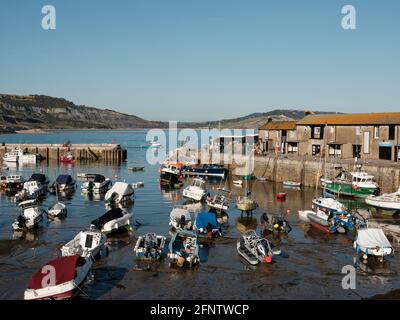 Bateaux amarrés dans le port de Lyme Regis, Lyme Regis, Dorset, Royaume-Uni, 2019. Banque D'Images