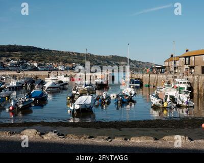 Bateaux amarrés dans le port de Lyme Regis, Lyme Regis, Dorset, Royaume-Uni, 2019. Banque D'Images