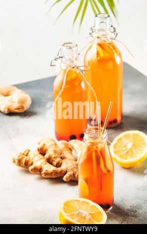 Myrtilles, canneberges fermentées crues Kombucha Vegan boisson crue avec gingembre et citron en bouteille avec paille écologique Banque D'Images