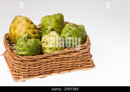 Morinda citrifolia - fruit Noni aux nombreuses propriétés médicinales; photo sur fond blanc. Banque D'Images