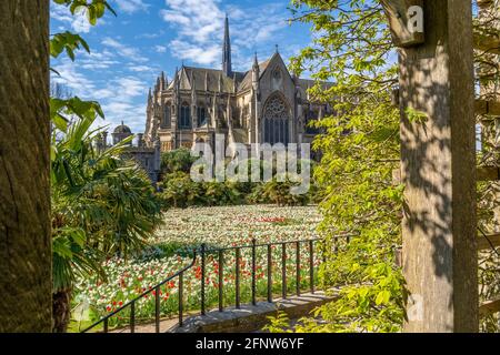 Une fois par an autour du mois de mai, le château d'Arundel, dans le West Sussex, accueille le festival de la tulipe où vous pouvez voir environ 60,000 tulipes dans les magnifiques jardins. Banque D'Images