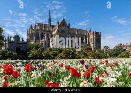 Cathédrale notre-Dame d'Arundel et St Philip Howard avec un tapis de tulipes devant elle lors du festival annuel Arundel Castle Tulip. Banque D'Images