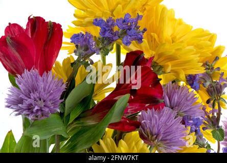 Bouquet de fleurs rouges violets et jaunes isolées sur fond blanc et utilisant la technique de superposition de focus. Banque D'Images