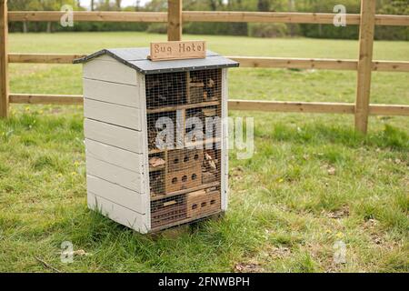 Shotgate, Essex, Angleterre, mai 2021, un hôtel de insectes a été construit et placé dans un parc. Banque D'Images