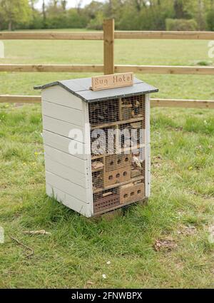 Shotgate, Essex, Angleterre, mai 2021, un hôtel de insectes a été construit et placé dans un parc. Banque D'Images