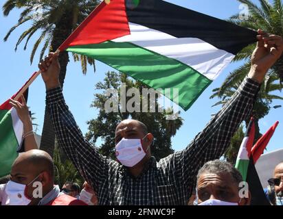 Tunis, Tunisie. 19 mai 2021. Les gens assistent à un rassemblement pour soutenir le peuple palestinien à Tunis, en Tunisie, le 19 mai 2021. Crédit: Adel Ezzine/Xinhua/Alamy Live News Banque D'Images